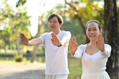 Qi Gong ya da Tai Chi egzersizleri yapan orta yaşlı güzel bir çift..