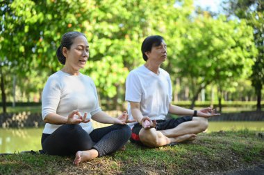 Sakin yaşlı çift yaz parkında yeşil çimenler üzerinde yoga ve nefes egzersizleri yapıyor.