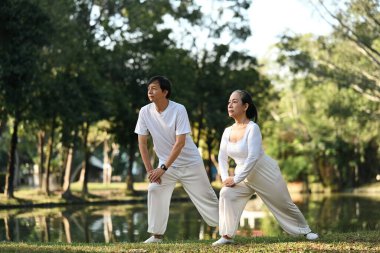 Beyaz elbiseli aktif orta yaşlı çift parkta Tai Chi ile çalışıyor. Sağlık ve refah kavramı