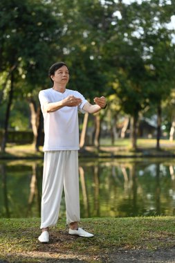 Sabahları Tai Chi çalışan orta yaşlı bir adam. Sağlık ve refah kavramı