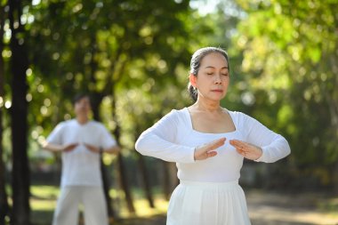 Beyaz elbiseli aktif orta yaşlı çift parkta Tai Chi ile çalışıyor. Sağlık ve refah kavramı