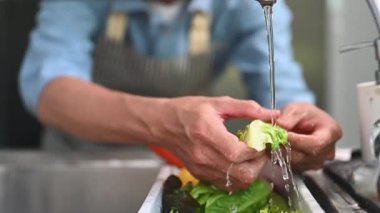 Sağlıklı yemek pişirmeden önce mutfak lavabosunda sebze yıkayan emekli adam..