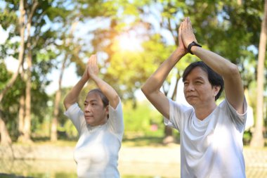 Aktif son sınıf çifti güzel güneşli bir günde birlikte yoga yapıyor. Ruh sağlığı ve yaşlı yaşam tarzı kavramı