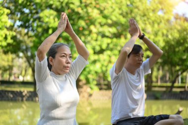Yaşlı aktif çift yaz parkında nefes egzersizi yapıyor. Sağlık ve meditasyon kavramı