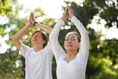 Sakin orta yaşlı çift yoga yapıyor ve parkta ellerini kaldırmış oturuyor. Sağlıklı yaşam tarzı kavramı
