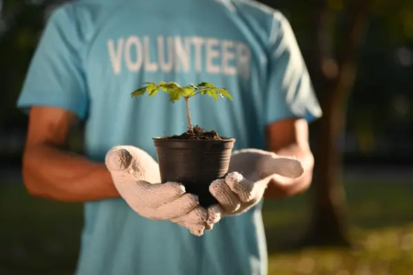 Volunteer holding green plant in a pot standing outdoor. Ecology and sustainability for earth day concept.