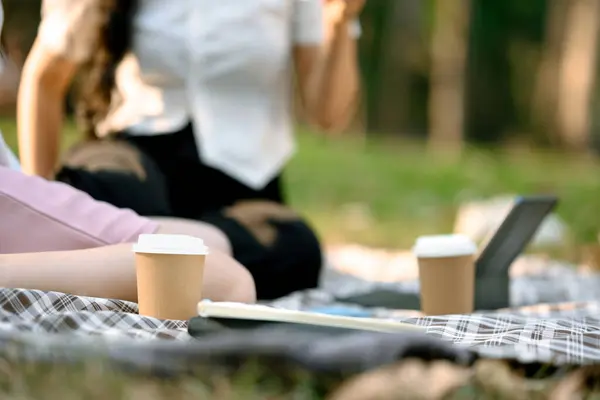 Paper cups of coffee on picnic blanket while two young woman talking and relaxing in the park.