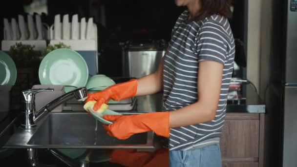 Glimlachende Jonge Vrouw Draagt Beschermende Rubberen Handschoenen Afwas Met Zachte — Stockvideo