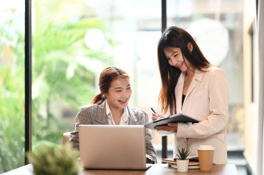 Neşeli iş kadınları modern ofisteki yeni projelerinde işbirliği yapıyorlar..