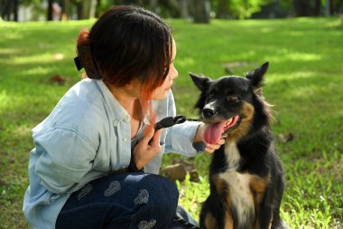 Genç bir kadın parkta piknik battaniyesinde dinlenirken köpeğini nazikçe okşuyor..