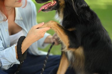 Kadının köpek patisini nazikçe tutarken yakın plan fotoğrafı. Sahibi ile evcil hayvanı arasında sevgi dolu bir bağ..