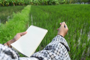 Pirinç tarlasında dikilen çiftçinin kırpılmış görüntüsü ekin büyümesi ve koşulları hakkında veri kaydediyor..