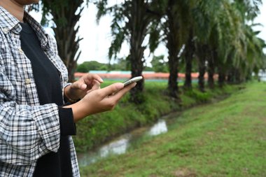 Palmiye ağaçlarının yanında duran ve cep telefonu kullanan genç bir çiftçi..