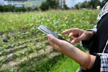 Çiftçinin tarlada dikilirken cep telefonu kullanırken çekilmiş görüntüsü..
