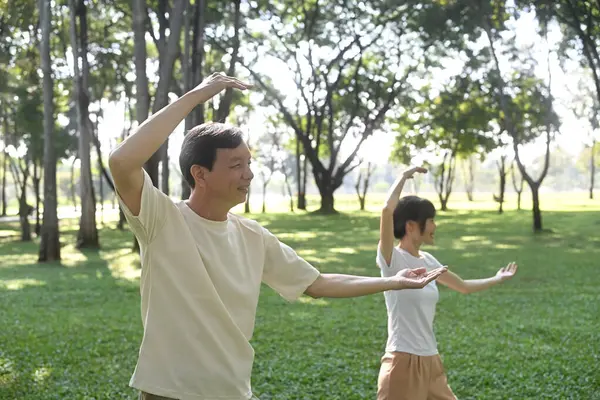 Huzurlu kıdemli adam ve genç kadın, yumuşak güneş ışığı altında parkta Tai Chi çalışırlar..