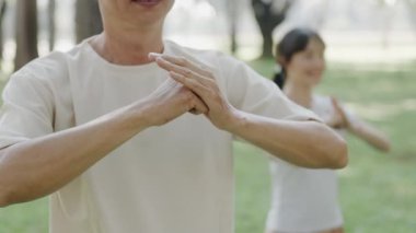 Huzurlu yaşlı bir adam ve genç bir kadın huzur parkında Tai Chi çalışıyor. Farkındalık ve refah kavramı.