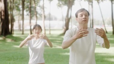 Huzurlu kıdemli adam ve genç kadın, yumuşak güneş ışığı altında parkta Tai Chi çalışırlar..