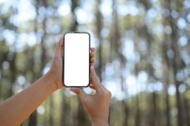 Bulanık doğa arka planına karşı boş ekran ile cep telefonunu tutan elleri kapat.