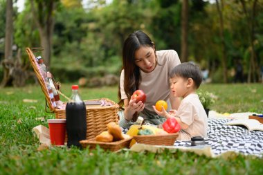 Anne ve oğlu parkta piknik yapıyorlar. Açık hava eğlencesi ve aile bağları kavramı.