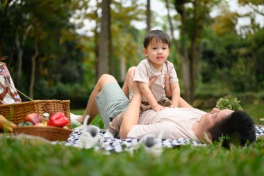 Tatlı oğluyla yemyeşil bir parkta piknik battaniyesinde uzanmış gülümseyen baba..