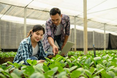 İki çiftçi bir serada ekinleri inceleyip dizüstü bilgisayar kullanıyor..