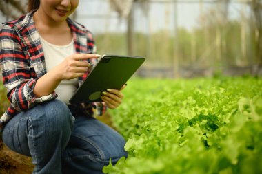 Organik çiftlikte dijital tablet kullanan kırpılmış kadın çiftçi..