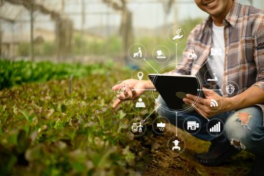 Çiftçi seradaki dijital tablet üzerindeki ekin verilerini analiz ediyor. Çiftçilikten ve akıllı tarım kavramından bihaber..