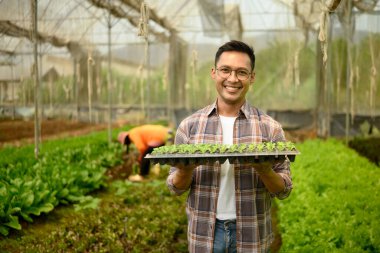 Gülümseyen adam bir seranın içinde sebze tohumu tepsisi tutuyor. Sürdürülebilir tarım kavramı.