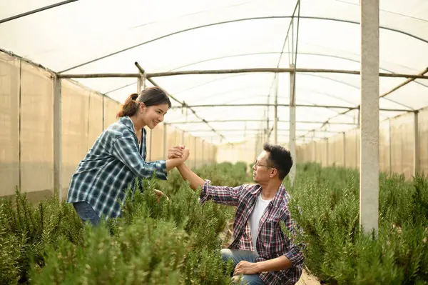 Başarılı çiftçiler sera bitkisi çiftliğinde takım çalışmasını kutluyor..