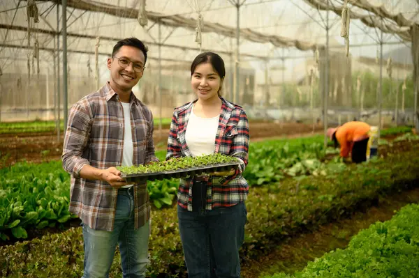 Bir serada filizlenen fideleri taşıyan iki genç çiftçi..