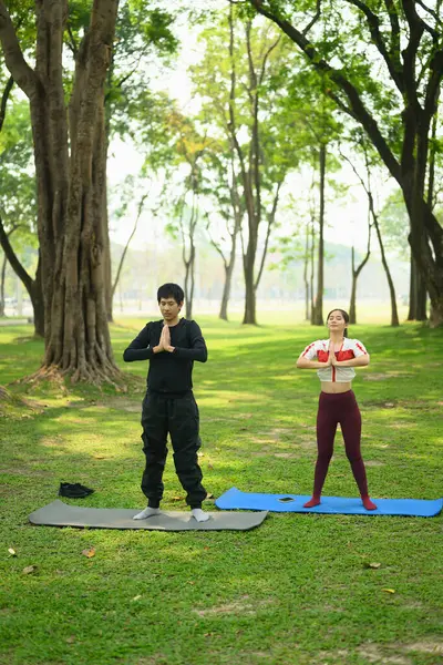Yeşil bir parkta birlikte yoga yapan güzel bir çift..