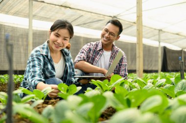 Genç sebze bitkilerini inceleyen ve serada dizüstü bilgisayar kullanan gülümseyen bir çift..