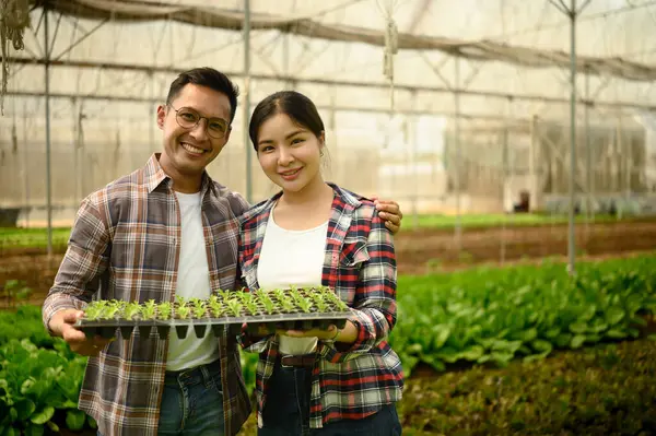 Genç tarımcılar organik çiftlikte tohum tepsisi gösteriyor.