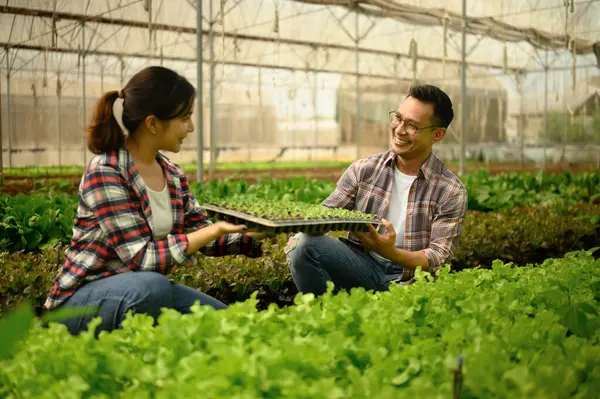 Serada birlikte çalışan mutlu tarım girişimcileri.