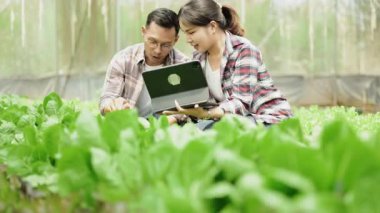 Bitki sağlığını izlemek ve ekin verilerini yönetmek için dijital tablet kullanan iki çiftçi.