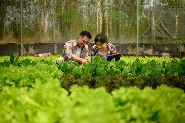 Erkek ve dişi çiftçiler seradaki bitkileri incelerken dijital tablet kullanıyorlar..