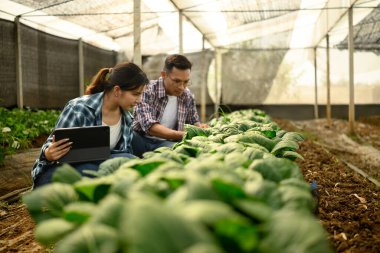 Gülümseyen çiftçiler bir serada mahsulleri incelerken dijital tablet kullanıyorlar. Akıllı tarım kavramı.