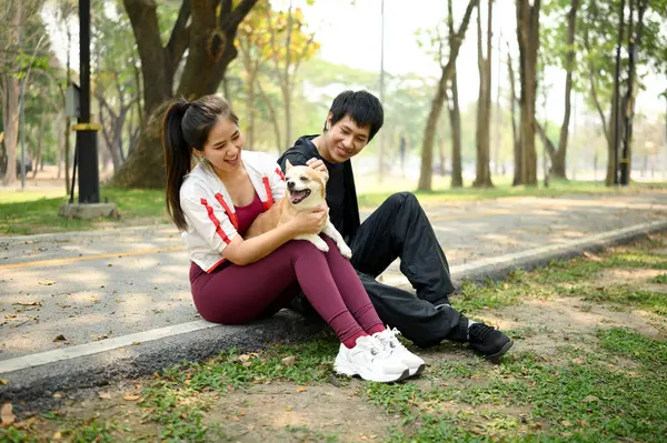 Parkta kaldırımda oturan ve sevimli küçük köpekleriyle oynayan mutlu genç çift..
