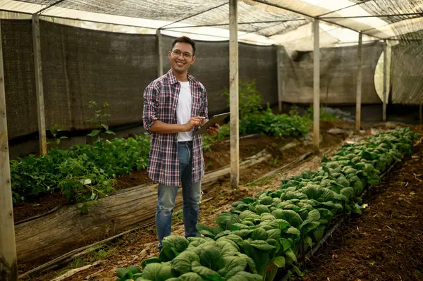 Bir serada dijital tablet kullanan gülümseyen bir çiftçi. Tarım sektöründe yenilik kavramı.