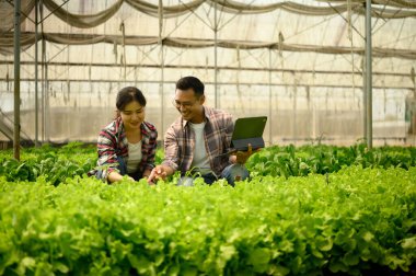 Erkek ve dişi çiftçiler ekin izleme ve dijital tarım kayıtları için dijital tablet kullanıyorlar..