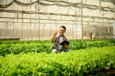 Gülümseyen çiftçi, seradaki ürünleri incelerken dijital tablet kullanıyor. Modern tarım kavramı.