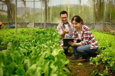 Çiftçiler bir seradaki bitkileri incelerken dijital tablet üzerindeki verileri analiz ederler.