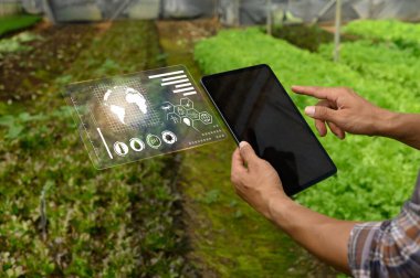 Serada gelecekteki tarım verilerine sahip dijital tablet kullanan çiftçi, sürdürülebilir akıllı tarım kavramı.