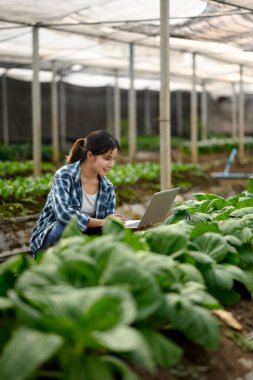 Dizüstü bilgisayar kullanan ve seradaki bitkileri inceleyen dişi çiftçiler..