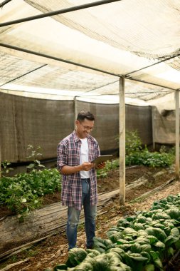 Bir serada dijital tablet kullanan gülümseyen bir çiftçi. Tarım sektöründe yenilik kavramı.