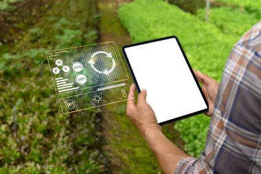 İnsan, sebze çiftliğindeki toprak ve ekin koşullarını izlemek için fütüristik veri arayüzüne sahip dijital tablet kullanıyor.