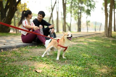 Kırmızı tasmalı mutlu küçük köpek. Egzersiz sonrası parkta dinlenen genç çift..