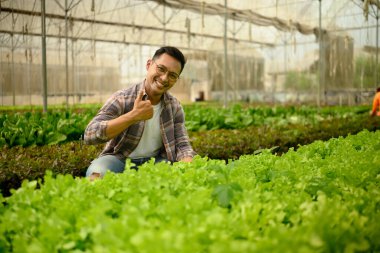 Gülümseyen çiftçi bir seradaki bitkileri incelerken başparmak işareti yapıyor..