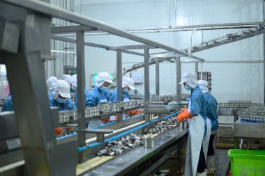 Fabrika işçileri balıkları metal kutulara ayırıyor ve üretiyorlar..