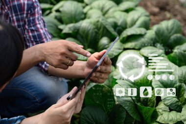 Serada gelecekteki tarım verilerine sahip dijital tablet kullanan çiftçi, sürdürülebilir akıllı tarım kavramı.